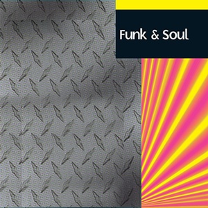 Обложка для Funk Society - Funk-a-Bunga