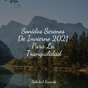 Обложка для Meditación Guiada, Saludo al Sol Sonido Relajante, Música de la Naturaleza - Soñadora