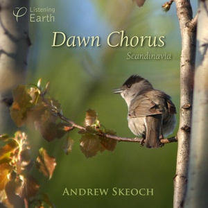 Обложка для Andrew Skeoch - The Chorus Continues: Willow Warbler and Blackbird