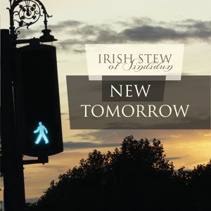 Обложка для Irish Stew - Dream Shelf