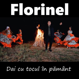 Обложка для Florinel - Dai cu tocul in pamant