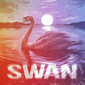 Обложка для Mettaverse - Swan