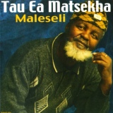 Обложка для Tau Ea Matsekha - Leseli