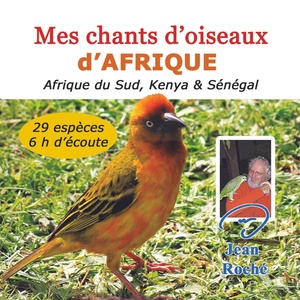 Обложка для Jean Roché - Gonolek d'Abyssinie - Laniarius aethiopicus 1