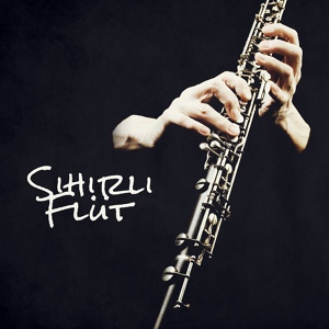 Обложка для Flute Music Group - Yağmurlu Gece
