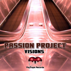 Обложка для Passion Project - Visions