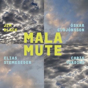 Обложка для Jim Black Malamute, Elias Stemeseder, Óskar Guðjónsson, Chris Tordini - Just Turned Two