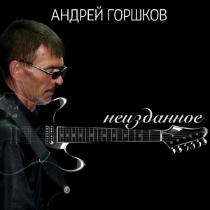 Обложка для Андрей Горшков - В кпз