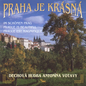 Обложка для Dechová hudba Antonína Votavy - V Háječku