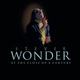 Обложка для Stevie Wonder - Another Star