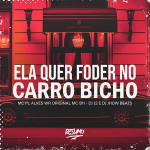 Обложка для DJ J2, DJ JHOW BEATS, WR Original feat. Mc PL Alves, MC B11 - Ela Quer Fuder no Carro Bicho