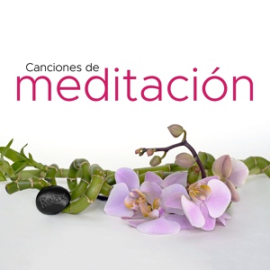 Обложка для Musica para Yoga Maestro & Relaxing Music Therapy - La Meditación Música