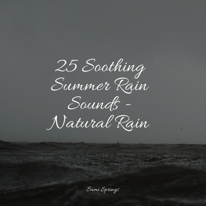 Обложка для Nature & Sounds Backgrounds, Study Music, Mindfulness Meditation Universe - Easy Droplets