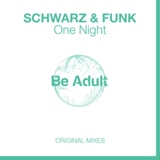 Обложка для Schwarz & Funk - Have a Nice Day