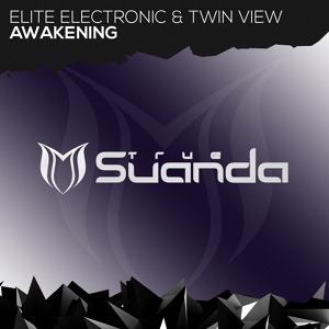 Обложка для Elite Electronic, Twin View - Awakening
