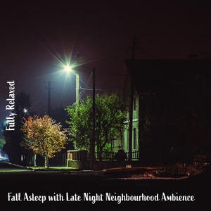 Обложка для Steve Brassel - Fall Asleep with Late Night Neighbourhood Ambience, Pt. 7