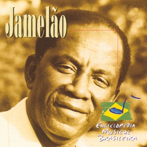 Обложка для Jamelão - Homenagem