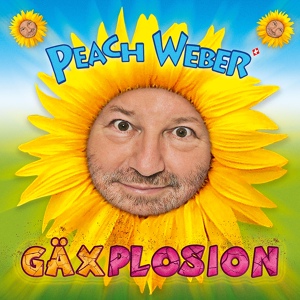 Обложка для Peach Weber - Akku