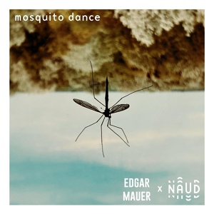 Обложка для Naud, EDGAR MAUER - Mosquito Dance