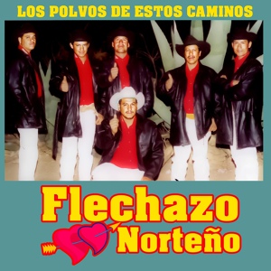 Обложка для Flechazo Norteño - Solo y Triste