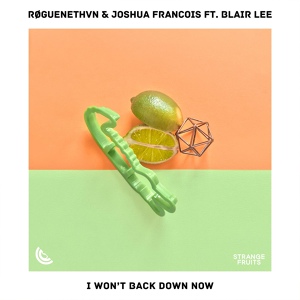 Обложка для RØGUENETHVN, Joshua Francois feat. Blair Lee - I Won't Back Down Now (feat. Blair Lee)