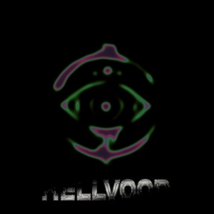 Обложка для HELLVOOD - Not a Prfct Wrld