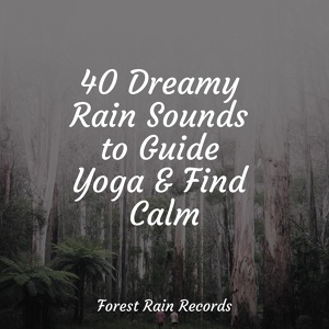 Обложка для Water Sounds for Sleep, Natureza, Regen - Forest Ambience, Strong Wind, Rain
