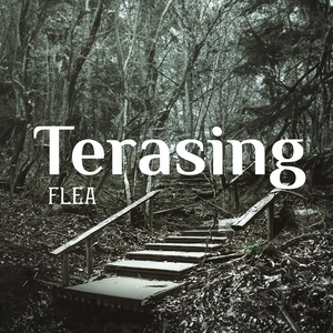Обложка для FLEA - Terasing