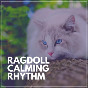 Обложка для Cat Music Therapy - Feline Spirit