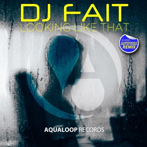 Обложка для DJ Fait - Looking Like That