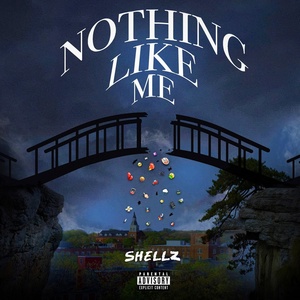 Обложка для Shellz - Nothing Like Me