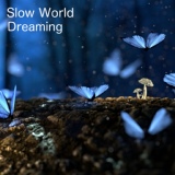 Обложка для Slow World - Hidden Glade