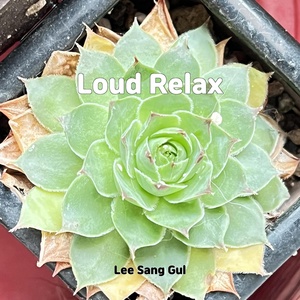 Обложка для Lee sang gul - Loud Relax