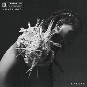 Обложка для Kalash ft. Kig Kosa - I Can See Why [OKLM Radio]