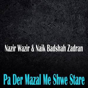 Обложка для Nazir Wazir, Naik Badshah Zadran - Che Domra Gham Kawa Lalia