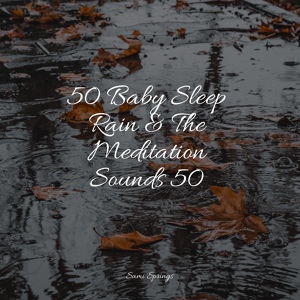 Обложка для Rain Spa, Relaxing Mindfulness Meditation Relaxation Maestro, Rain Sounds - Traffic Rain