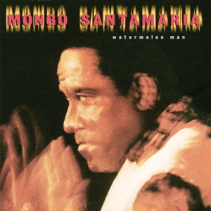 Обложка для Mongo Santamaría - Suavito