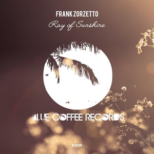 Обложка для Frank Zorzetto - Ray of Sunshine