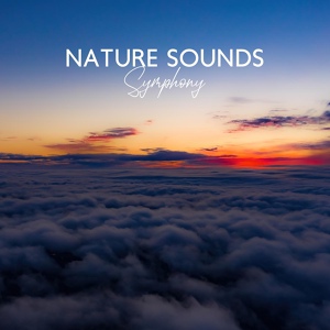 Обложка для Nature Sounds Collective, Total Relax Music Ambient - Ambient Sounds for Stress Relief