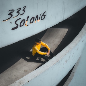 Обложка для SoLong - 333