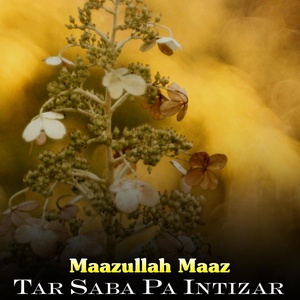 Обложка для Maazullah Maaz - Mor Da Kor Spina Dewa Da