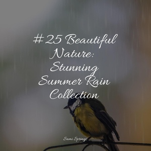 Обложка для Fresh Water Sounds for Inner Peace, Zen, Sounds of Nature for Deep Sleep and Relaxation - Rain, Nature, Medium, Light Wind