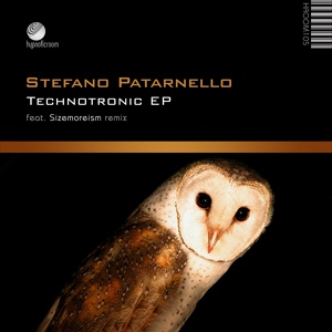 Обложка для Stefano Patarnello - Technotronic #02