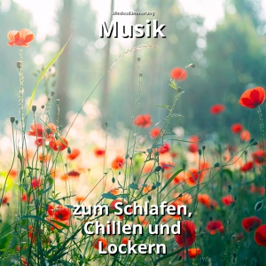 Обложка для Windesdämmerung - Musik zum Lernen