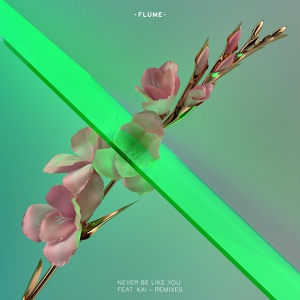Обложка для Flume & Kai - Never Be Like You