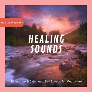 Обложка для Mind Body Soul Reiki Therapeutic Sounds, Restorative Meditation & Yoga Productions - Relaxing Muscles