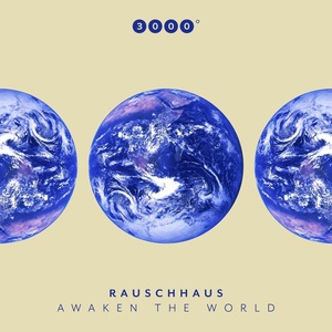 Обложка для Rauschhaus - Mindtricks
