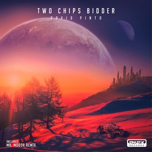 Обложка для David Pinto - Two chips bidder