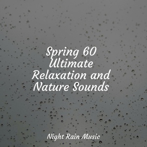 Обложка для Rain and Nature, Massage, Rain Hard - Gentle River