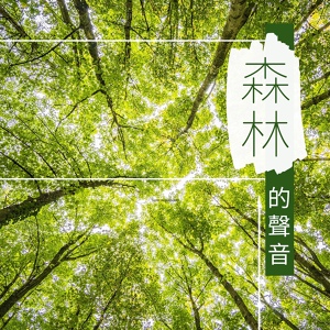 Обложка для 純正音源 - 安靜純音樂